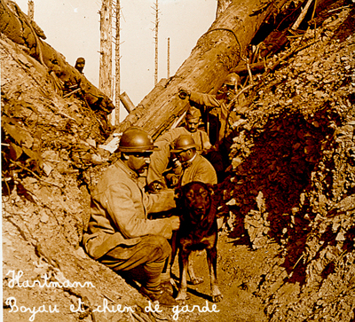 Diapos de la guerre de 1914/1918 - Hartmann